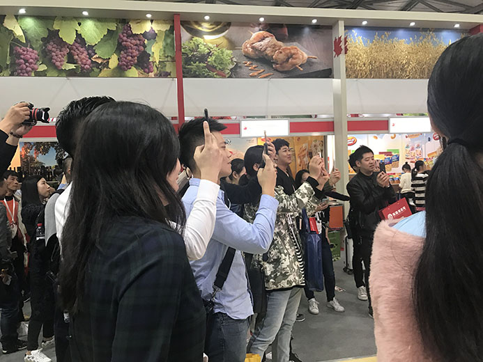 互动游戏，大屏互动游戏，手机互动游戏，小游戏定制，互动游戏开发